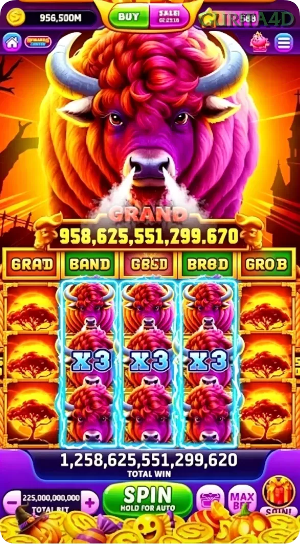 Screenshot Fortune Coins